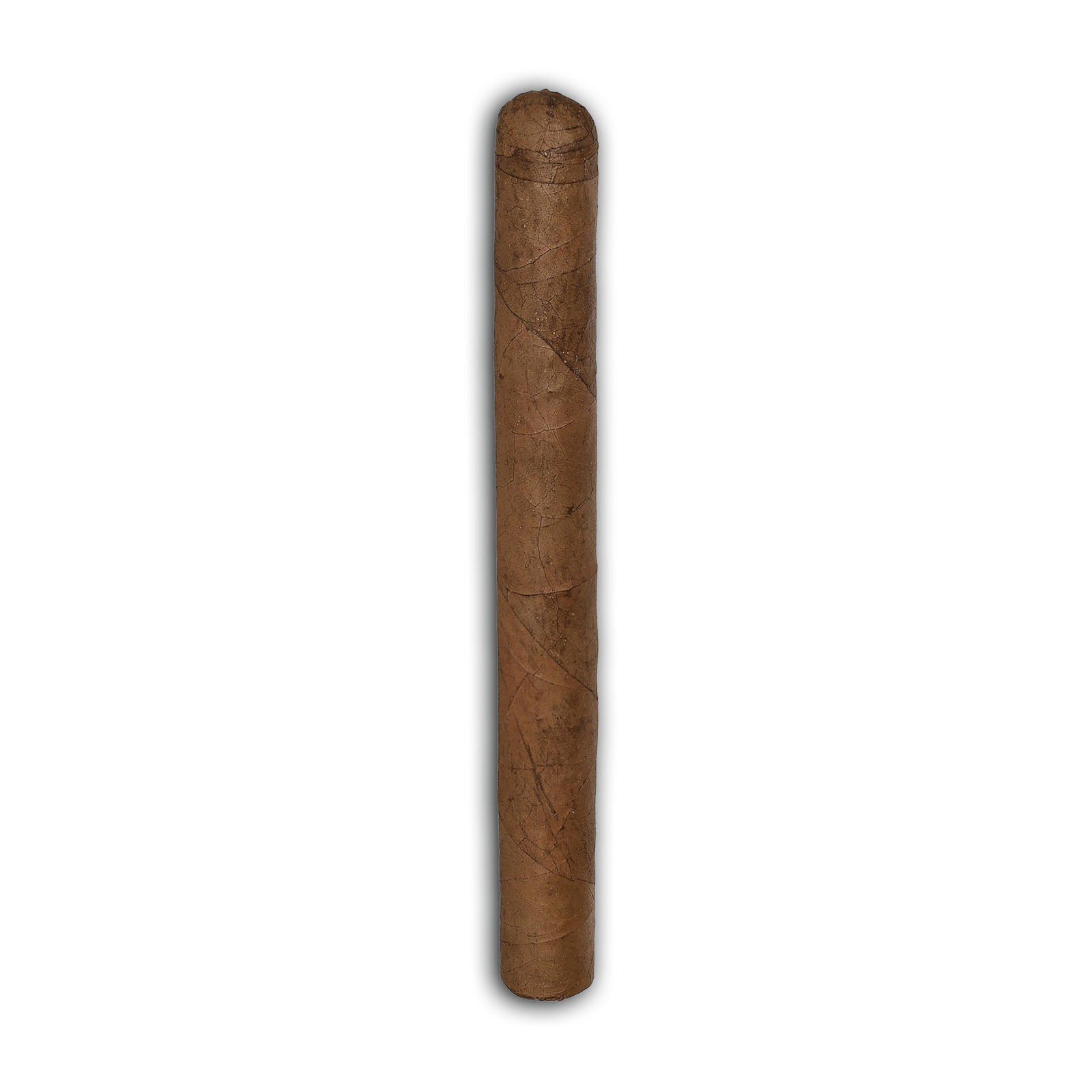 Bundle Cusano Bundle Selection: Petit Panetela 16/PACK